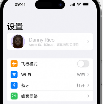 中宁appleID维修服务iPhone设置中Apple ID显示为灰色无法使用 