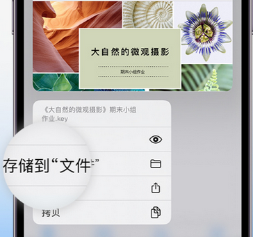 中宁apple维修中心分享iPhone文件应用中存储和找到下载文件