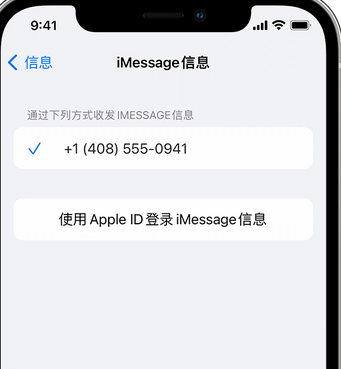 中宁apple维修iPhone上无法正常发送iMessage信息 