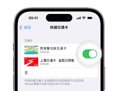 中宁apple维修点分享iPhone上更换Apple Pay快捷交通卡手绘卡面 