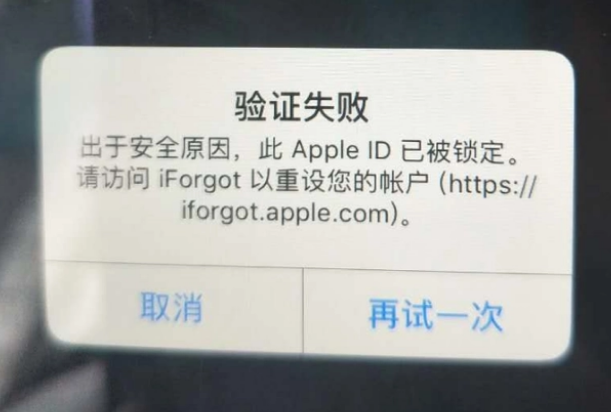 中宁iPhone维修分享iPhone上正常登录或使用AppleID怎么办 