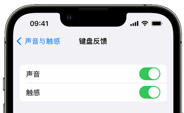 中宁苹果手机维修分享iPhone 14触感键盘使用方法 