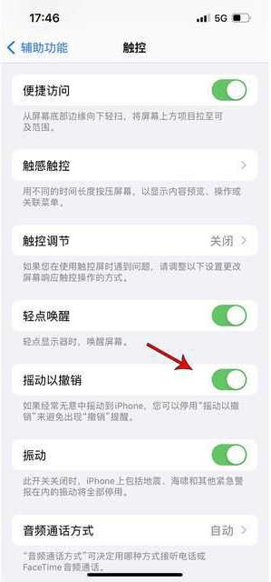 中宁苹果手机维修分享iPhone手机如何设置摇一摇删除文字 